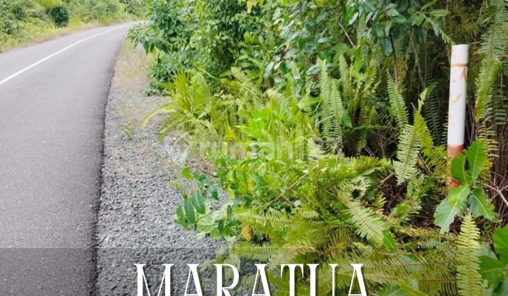 Dijual Tanah Langka Cocok untuk Resort 8,5 Ha SHM, Kalimantan Timur Dijual Tanah Langka Cocok untuk Resort 8,5 Ha SHM, Kalimantan Timur
