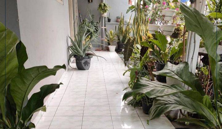 Dijual Murah, Rumah Cocok Untuk Kost an Tomang Jakarta Barat 2