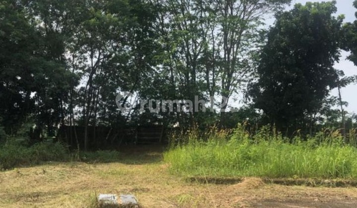 Dijual Gudang Lokasi Strategis Cileungsi Bagus