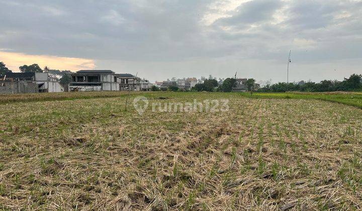 Large Land Ready to Build in Munggu Badung Bali 1