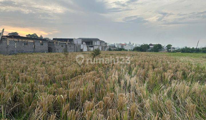 Large Land Ready to Build in Munggu Badung Bali 2