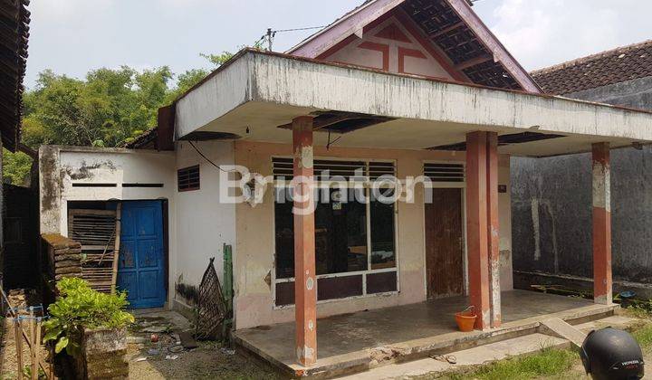 Rumah hitung tanah, jalan Mawar, pedukuhan Maijo, Desa Jatiwates, Kec. Tembelang, Kab. Jombang 1