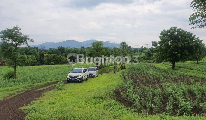 TANAH DI DAERAH TULAMBEN KARANG ASEM BALI TANAH DI DAERAH TULAMBEN KARANG ASEM BALI