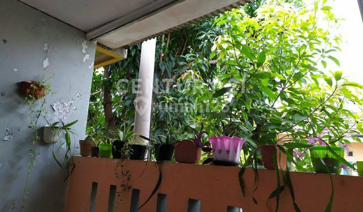 Rumah Siap Huni Cluster Heliconia Legok Permai  2