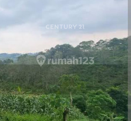 Tanah 5 Ha Lembah Karmel, Samping Tempat Misa&Retret Romojohanes Tanah 5 Ha Lembah Karmel, Samping Tempat Misa&Retret Romojohanes