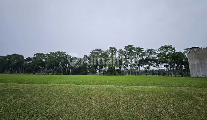 Di Jual Kavling Di Cluster Mewah Bukit Golf Bsd Tenang, Hijau, Dan Tertata Rapi Di Jual Kavling Di Cluster Mewah Bukit Golf Bsd Tenang, Hijau, Dan Tertata Rapi