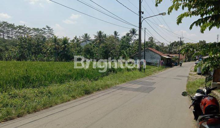TANAH DATAR COCOK BANGUN PERUMAHAN 2