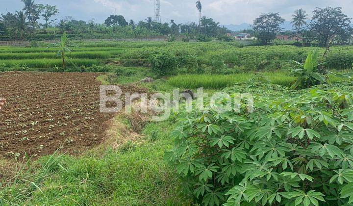 TANAH LUAS DEKAT AREA WISATA DI GUNUNG SALAK 2