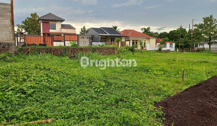 TANAH 1 HEKTARE MULYAHARJA BOGOR SELATAN 1