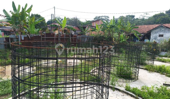 Land Suitable for Fish and Chicken Farming Land Suitable for Fish and Chicken Farming