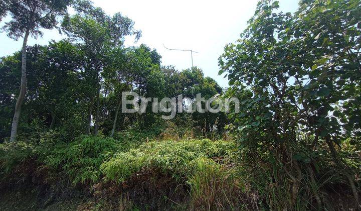TANAH LOKASI STRATEGIS COCOK BUAT PERUMAHAN/YAYASAN/WISATA OUTBOUND 2