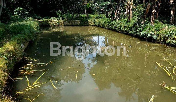 TANAH + KOLAM IKAN  2