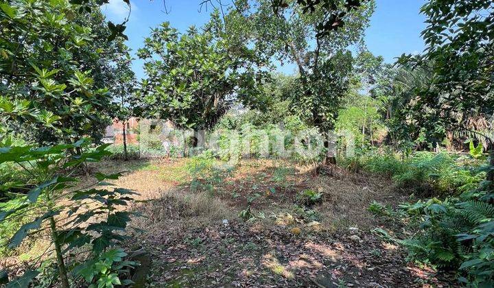 TANAH LOKASI STRATEGIS DIBAWAH NJOP DI KOTA BOGOR 