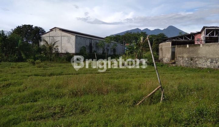 TANAH KOMERSIL MURAH SIAP BANGUN COCOK UNTUK MINI CLUSTER DI MULYAHARJA BOGOR
