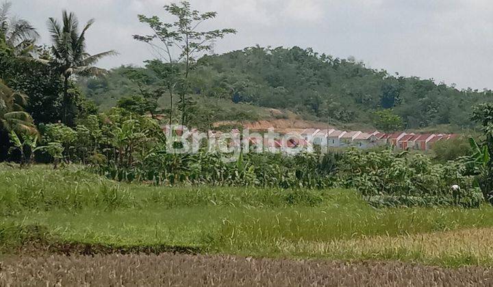 TANAH DATAR COCOK BANGUN PERUMAHAN 1