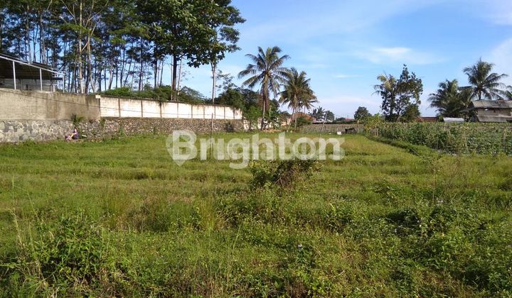 TANAH KOMERSIL MURAH SIAP BANGUN COCOK UNTUK MINI CLUSTER DI MULYAHARJA BOGOR