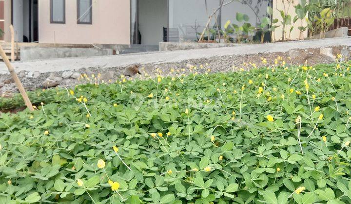 Rumah Siap Huni Berkonsep Cluster Di Parung Kuda Sukabumi 2