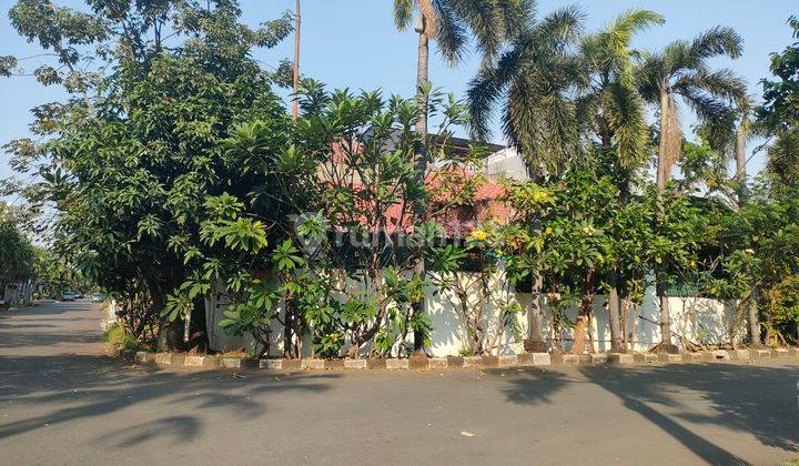 Rumah lama dijual murah  anggap kavling 2