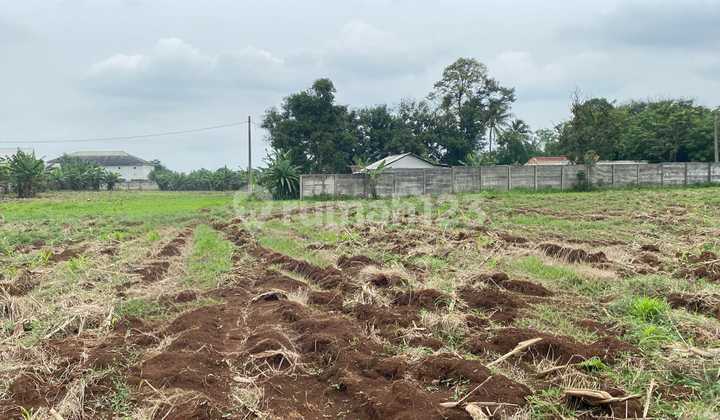 Affordable Land for Sale, Ready to Build in a Strategic Location Affordable Land for Sale, Ready to Build in a Strategic Location