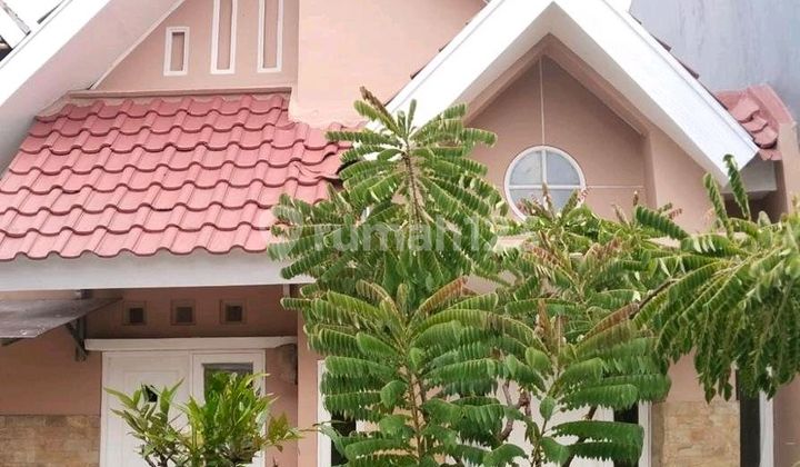 Rumah Rapi Siap Huni di Sutera Flamboyan Rumah Rapi Siap Huni di Sutera Flamboyan