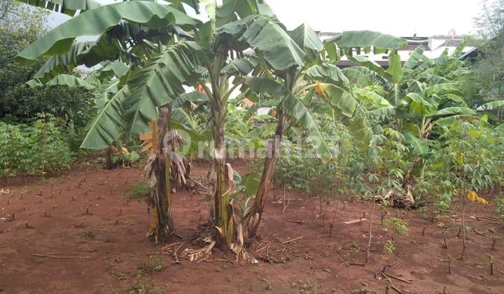 Commercial Plot for Rent in Sunter, North Jakarta