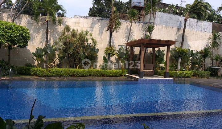 Rumah Mewah Pool View Seperti Villa di Simprug Golf, Jaksel 2