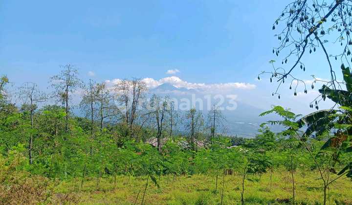 MURAH !! TANAH RAYA NGEMBAL, TUTUR NONGKOJAJAR