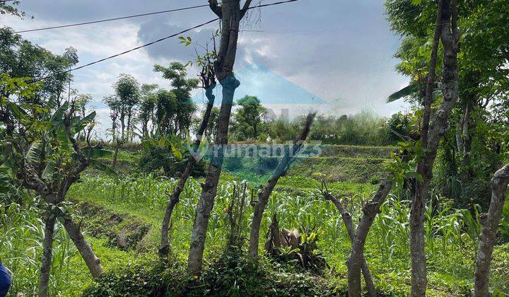 Jual Murah Tanah di daerah Prigen 1