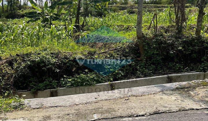 Jual Murah Tanah di daerah Prigen 2