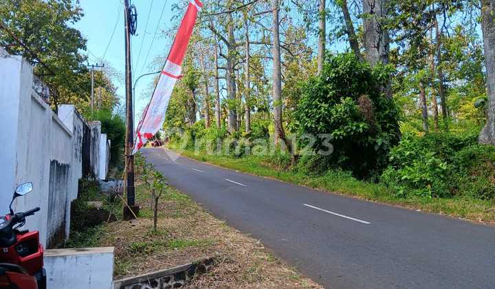 MURAH !! TANAH RAYA NGEMBAL, TUTUR NONGKOJAJAR