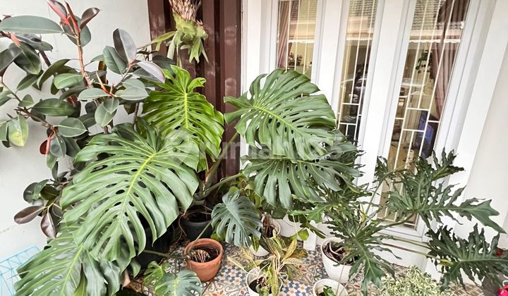 Dijual Rumah Minimalis Di Nusaloka Bsd 6x12