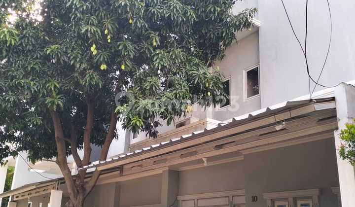 Rumah Kost Cempaka Putih Full Terisi Omset 45 Juta Perbulan