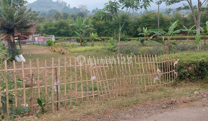 Tanah Di Subang Dekat Dengan Akses Tol ,cocok Untuk Investasi  1