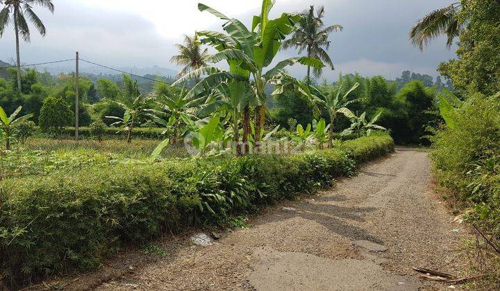 Tanah Di Subang Dekat Dengan Akses Tol ,cocok Untuk Investasi  2