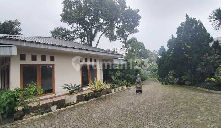 Ready-to-occupy spacious office building, suitable for office use. Ready-to-occupy spacious office building, suitable for office use.