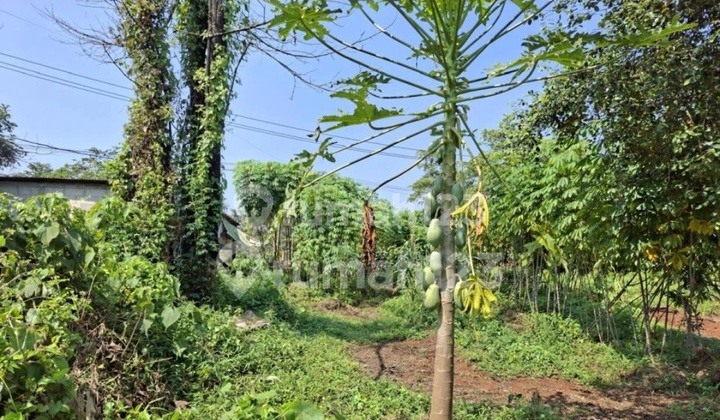 Industrial Plot in Legok Tangerang Ready to Use Good Location