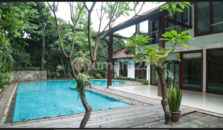 Rumah Mewah Di Kemang Jakarta Selatan Rapih Ada Kolam Renang 