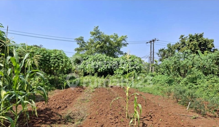 Industrial Plot in Legok Tangerang Ready to Use Good Location