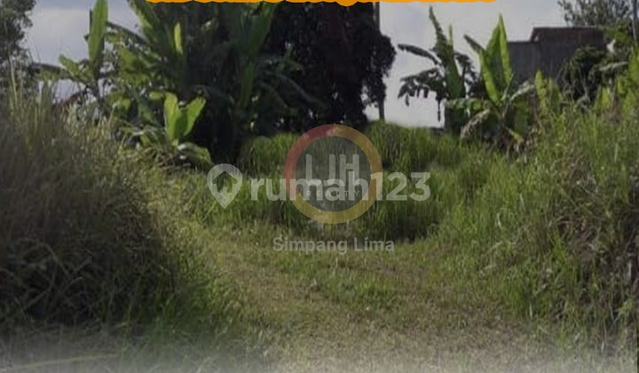 Tanah 3300 m2 HGB Sidorejo, Salatiga