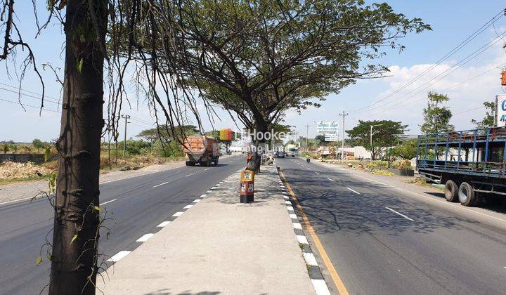 Tanah Murah Dekat Kawasan Industri Kendal Dekat Pelabuhan 11.936 AUD  2