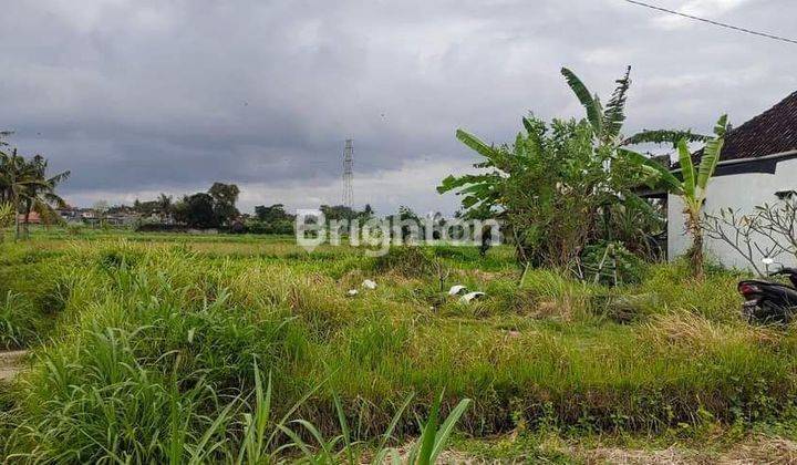 Tanah Murah 200m² di Gianyar Bali 1