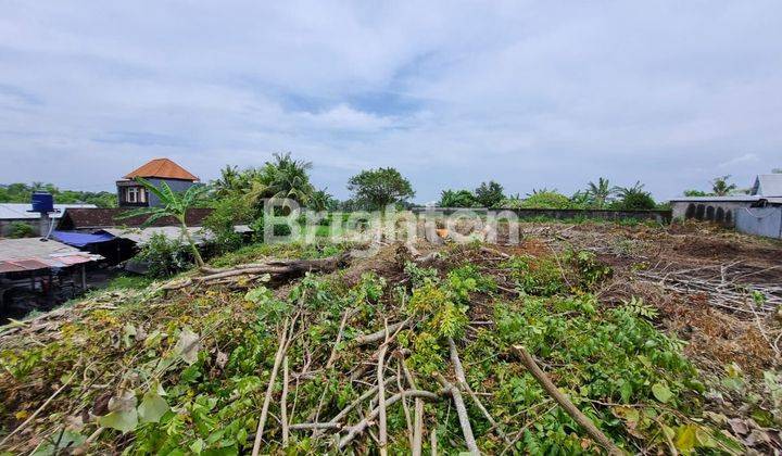 Tanah luas di Jl Angantaka Gianyar 1