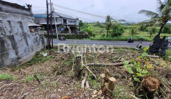 Tanah luas di Jl Angantaka Gianyar 2