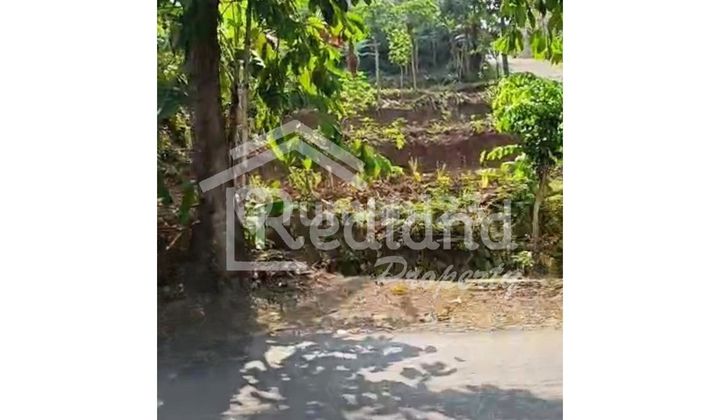 Tanah di Jl Untung Suropati , Semarang ( Si 8039) 2