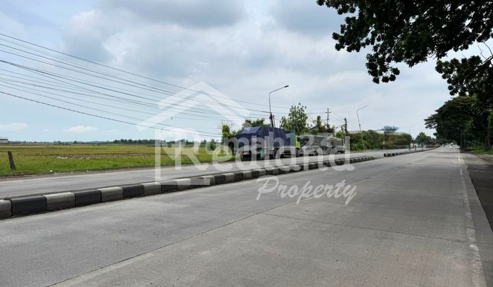 Tanah di Jenarsari Gemuh , Kendal ( Si 8369 ) Tanah di Jenarsari Gemuh , Kendal ( Si 8369 )