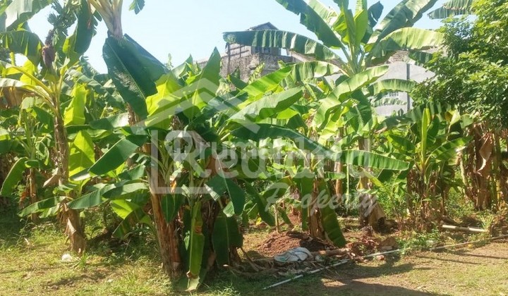 Tanah di Gajahmungkur, Semarang Vn 5276 2