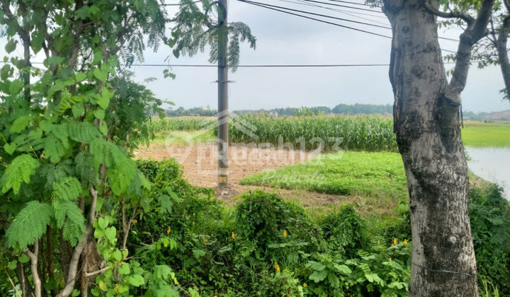 Land in Pantura, Kendal Me Ag 6379