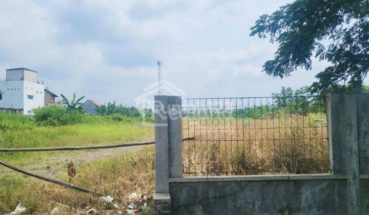 Tanah di Pantura Brangsong , Kendal Me Ag 6359 1