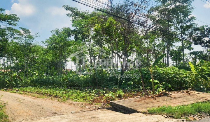 Tanah di Untung Suropati , Mijen Semarang Si Me 6664  1