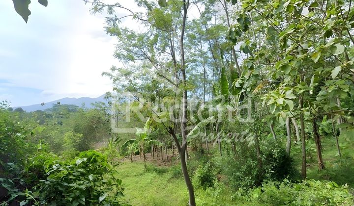 Tanah di daerah Meteseh , Boja ( Si 8390 )